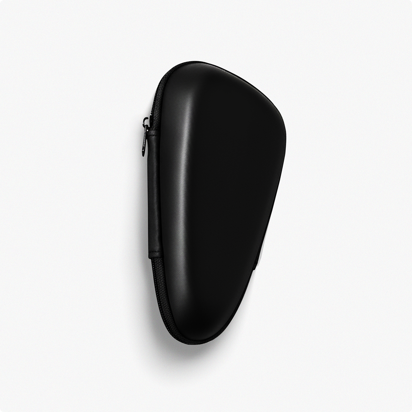 Protective Travel Case